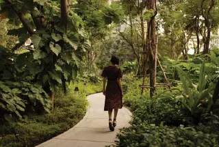 Landscape Garden